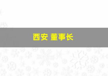 西安 董事长